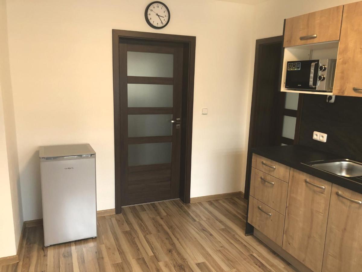 Česká KameniceApartman Pod Hrademアパートメント エクステリア 写真