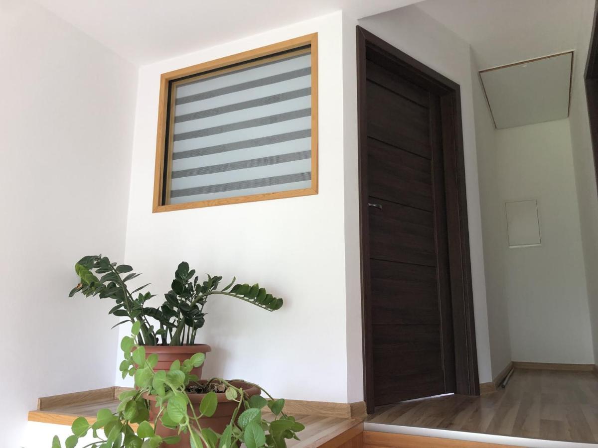 Česká KameniceApartman Pod Hrademアパートメント エクステリア 写真